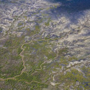 This image of the green blue patterns of floodplains was taken from a light aircraft over the Top End region of the Northern Territory, Australia.