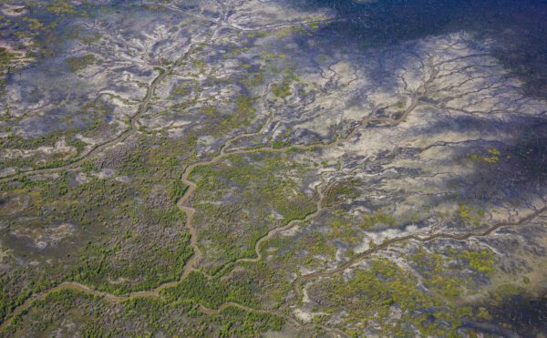 This image of the green blue patterns of floodplains was taken from a light aircraft over the Top End region of the Northern Territory, Australia.