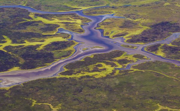 This image is of a River Delta taken from a light aircraft over the Top End region of the Northern Territory, Australia.