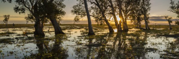 This image was taken at the edge of the Mary River Flood Plains in the Top End of the Northern Territory, Australia